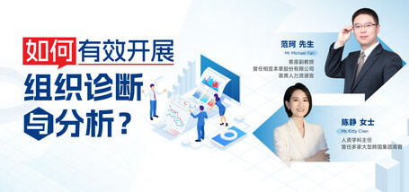 如何有效开展组织诊断与分析？ - 图像