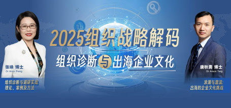 Image of 2025组织战略密码:组织诊断与出海企业文化