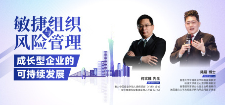 敏捷组织与风险管理：成长型企业的可持续发展 - 图像