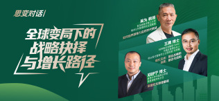 Image of 全球变局下的战略抉择与增长路径