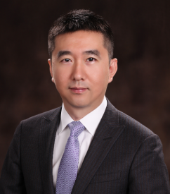 Mr Wei Wei